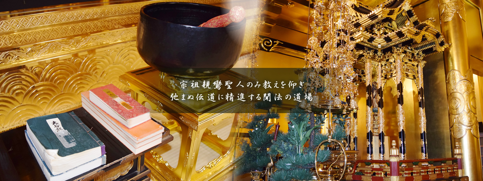 宗祖親鸞聖人のみ教えを仰ぎ 弛まぬ伝道に精進する聞法の道場