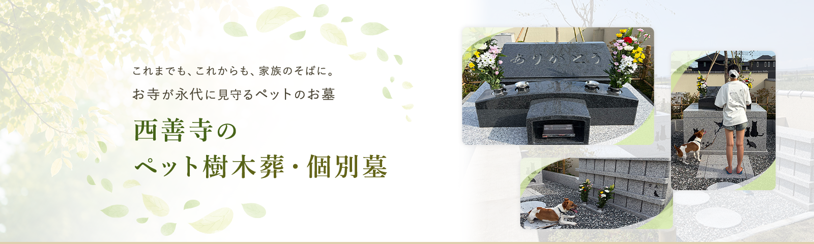 西善寺の樹木葬