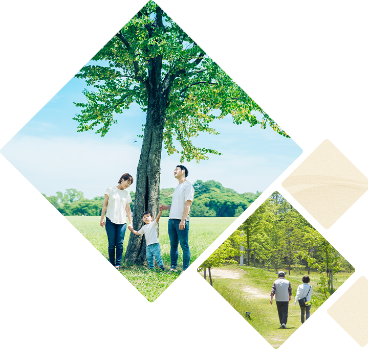 樹木葬を検討する家族のイメージ